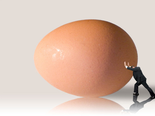 man-vs-egg